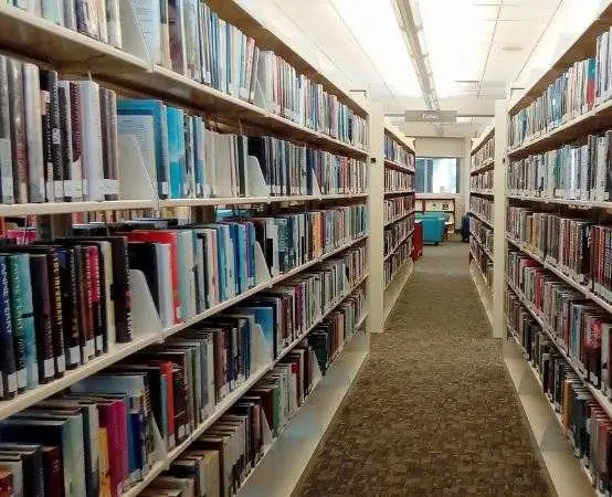 Karty zamiast scrolla - chorzowska biblioteka szykuje letnie spotkanie