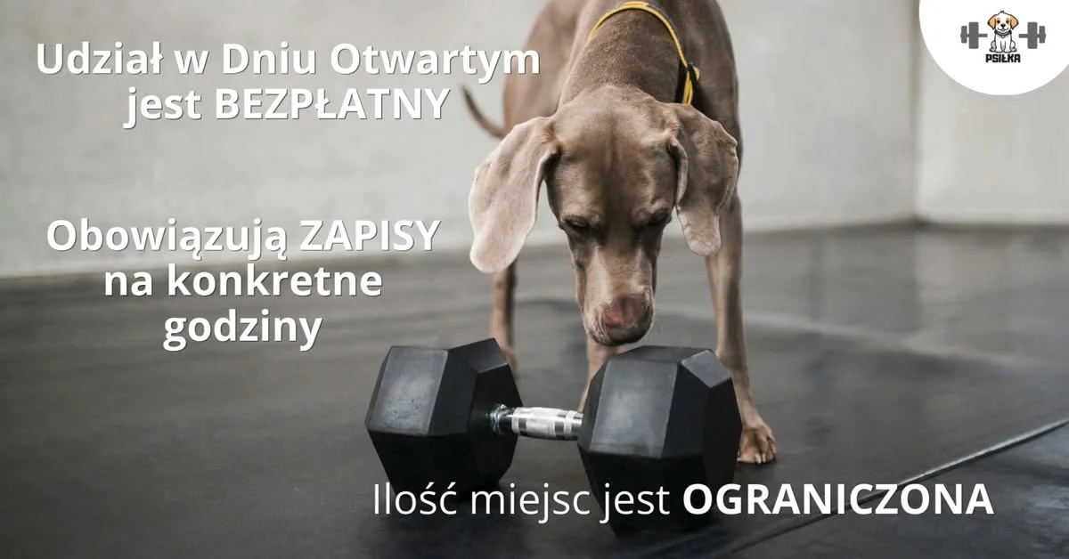 Grafika promocyjna wydarzenia Dni Otwarte w Psiłce – psia fizjoterapia