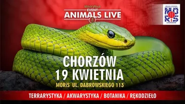 Grafika promocyjna wydarzenia Animals Live w Chorzowie 2026: targi terrarystyczne, akwarystyczne i botaniczne w Hali MORiS
