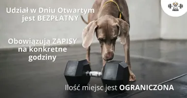 Dni Otwarte w Psiłce – psia fizjoterapia