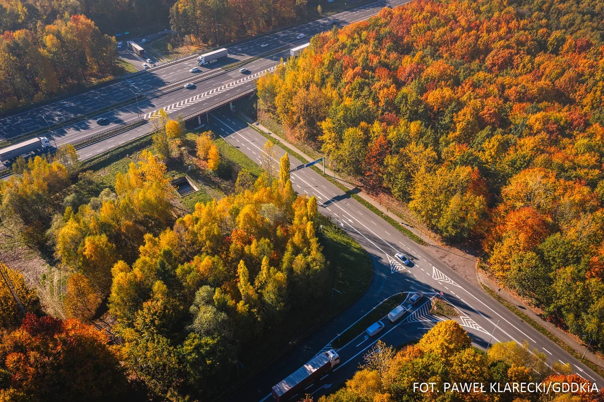 Węzeł drogowy z autostradą i drogą wylotową otoczony lasem w jesiennych barwach, na którym poruszają się pojazdy.